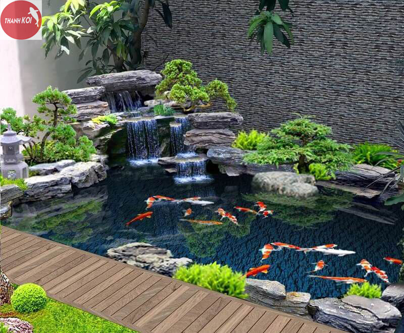 Xây dựng hồ cá Koi cần diện tích tối thiểu bao nhiêu?