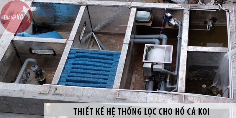 Cách Bố Trí Lọc Hồ Cá Koi: Bí Quyết Tạo Nên Hồ Cá Đẹp, Sạch, Chuẩn Phong Thủy