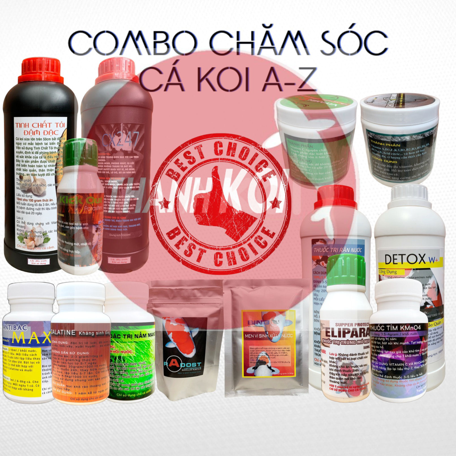 Cách Phòng Bệnh Cho Cá Koi: Hướng Dẫn Chi Tiết Để Nuôi Cá Koi Khỏe Mạnh