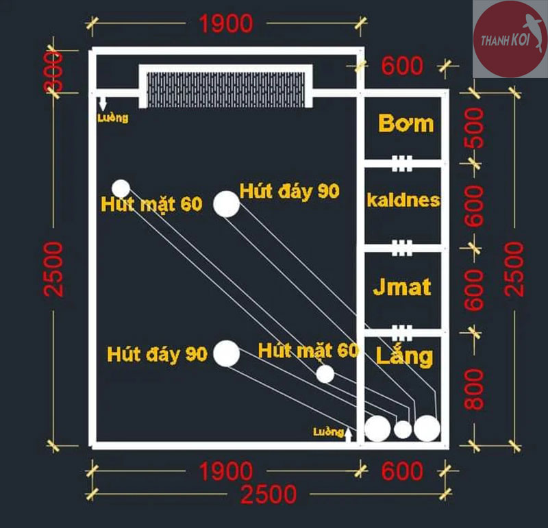 Sơ đồ nguyên lý hệ thống lọc hồ cá Koi: Bí quyết giữ nước trong sạch cho hồ cá