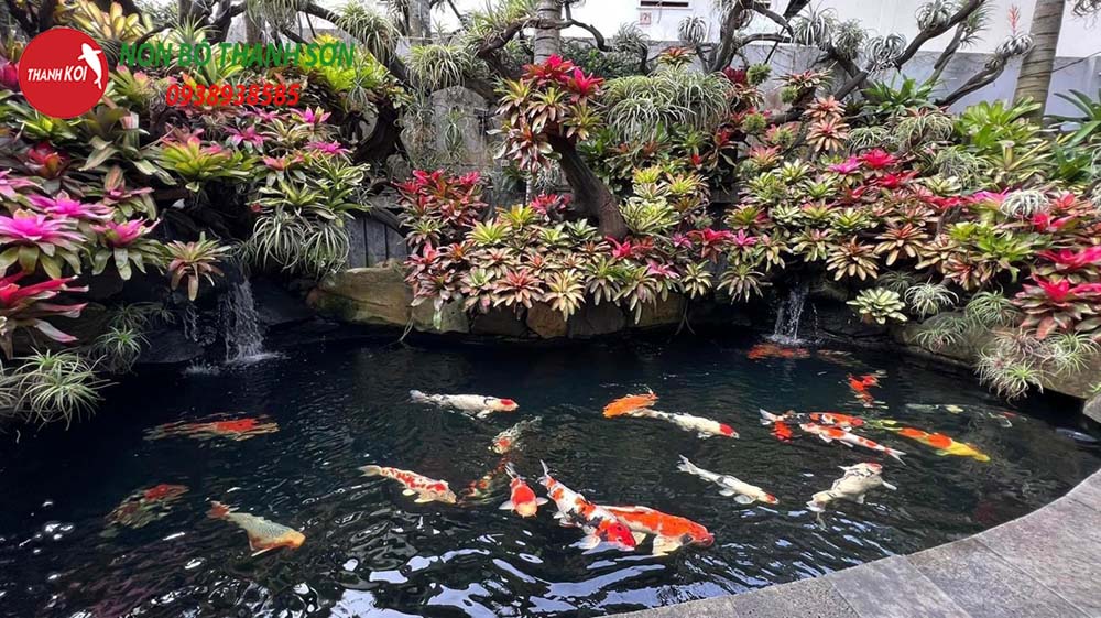 Thiết Kế Hồ Cá Koi: Hành Trình Tạo Nên Một Tác Phẩm Nghệ Thuật Trong Sân Vườn