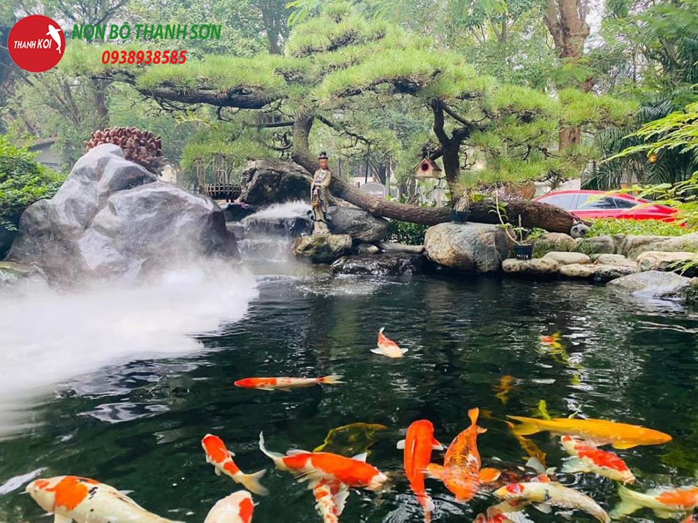 Thiết Kế Hồ Cá Koi: Hành Trình Tạo Nên Một Tác Phẩm Nghệ Thuật Trong Sân Vườn