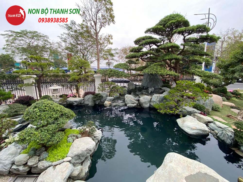 Thiết Kế Hồ Cá Koi: Hành Trình Tạo Nên Một Tác Phẩm Nghệ Thuật Trong Sân Vườn