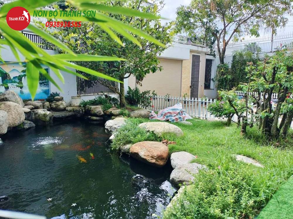 Thiết Kế Hồ Cá Koi: Hành Trình Tạo Nên Một Tác Phẩm Nghệ Thuật Trong Sân Vườn