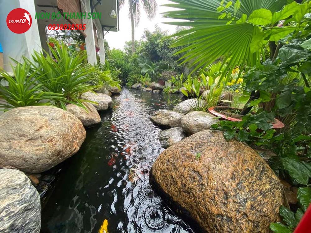 Thiết Kế Hồ Cá Koi: Hành Trình Tạo Nên Một Tác Phẩm Nghệ Thuật Trong Sân Vườn