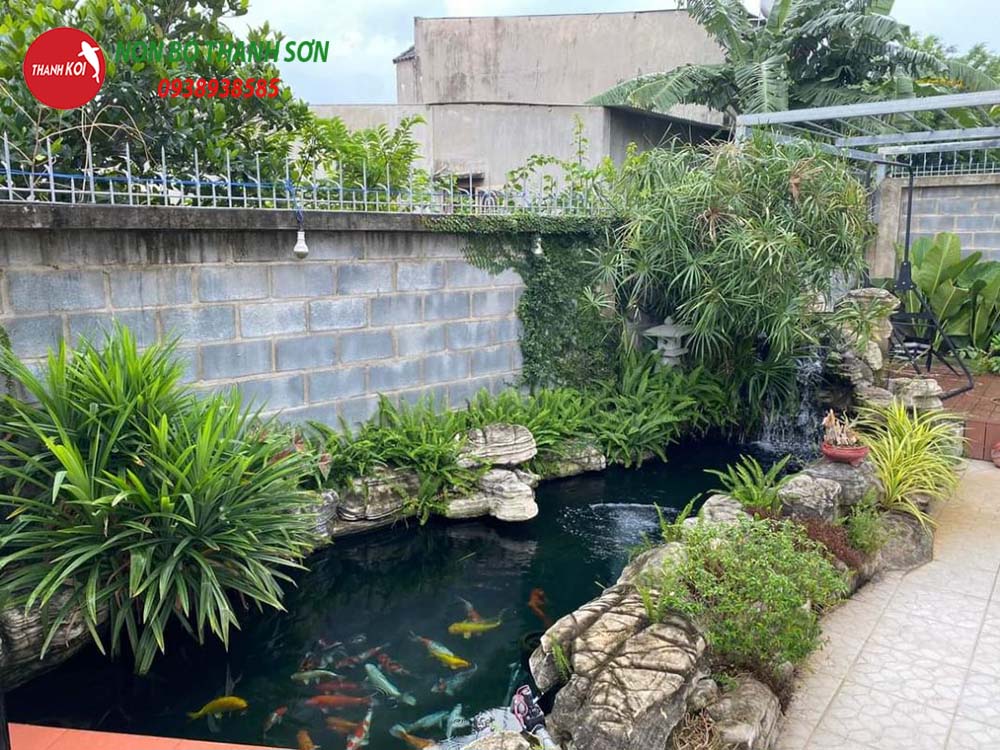 Thiết Kế Hồ Cá Koi: Hành Trình Tạo Nên Một Tác Phẩm Nghệ Thuật Trong Sân Vườn