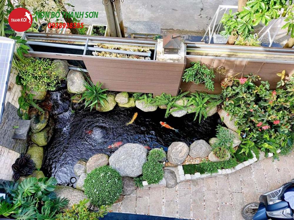 Thiết Kế Hồ Cá Koi: Hành Trình Tạo Nên Một Tác Phẩm Nghệ Thuật Trong Sân Vườn
