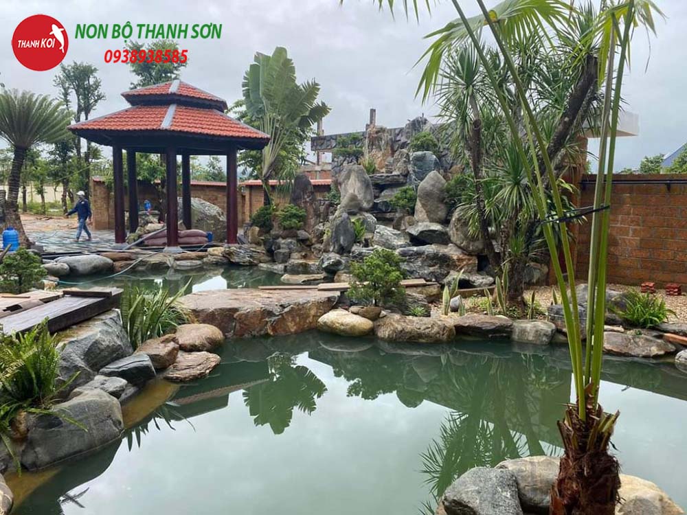 Thiết Kế Hồ Cá Koi: Hành Trình Tạo Nên Một Tác Phẩm Nghệ Thuật Trong Sân Vườn