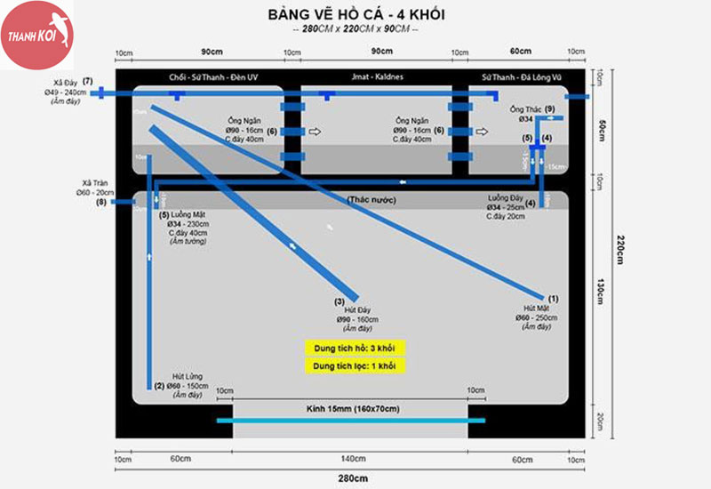 Kích thước hồ cá Koi theo tiêu chuẩn như thế nào?