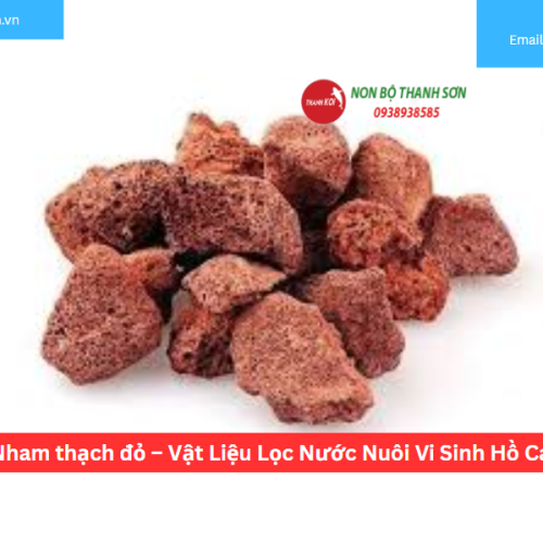 Nham thạch đỏ – Vật Liệu Lọc Nước Nuôi Vi Sinh Hồ Cá