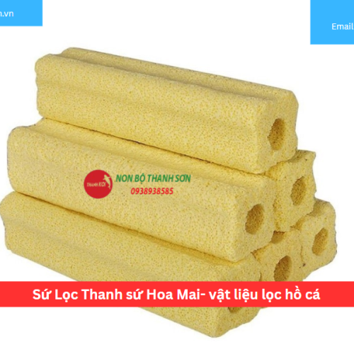 Sứ Lọc Thanh sứ Hoa Mai- vật liệu lọc hồ cá
