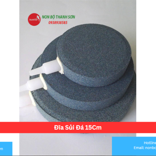 Đĩa Sủi Đá 15Cm
