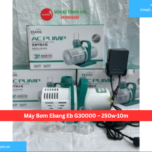 Máy Bơm Ebang Eb G30000 – 250w-10m