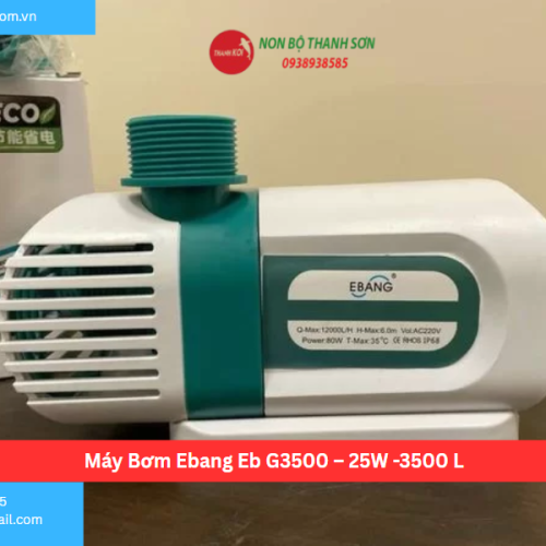 Máy Bơm Ebang Eb G3500 – 25W -3500 L