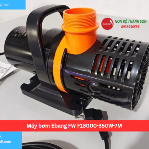 Máy bơm Ebang FW F18000-350W-7M