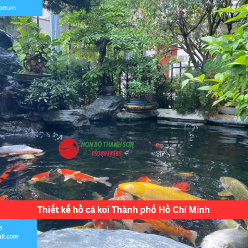 Bảng báo giá thiết kế hồ cá koi Thành phố Hồ Chí Minh