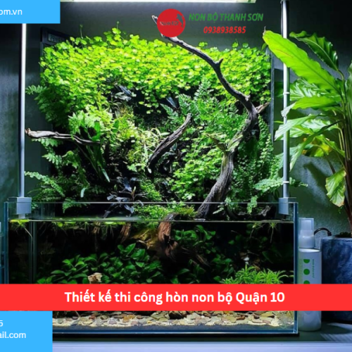 Bảng báo giá thiết kế thi công hòn non bộ Quận 10