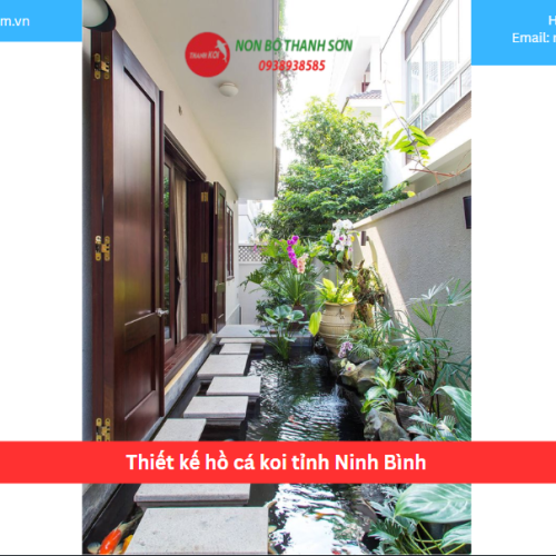 Bảng báo giá thiết kế hồ cá koi tỉnh Ninh Bình
