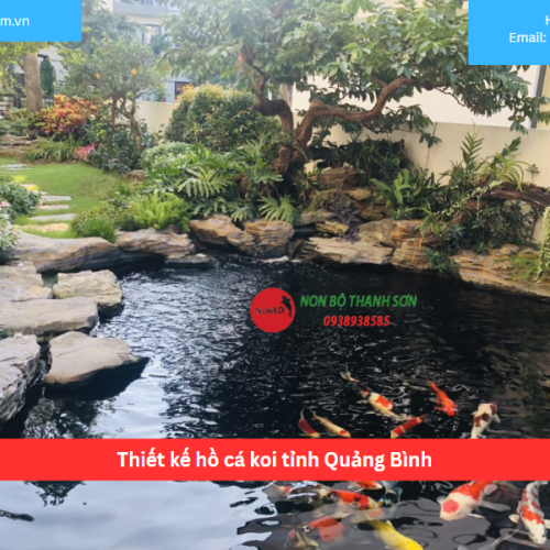 Bảng báo giá thiết kế hồ cá koi tỉnh Quảng Bình