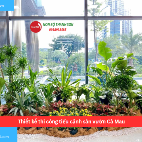 Bảng báo giá thiết kế thi công tiểu cảnh sân vườn Cà Mau