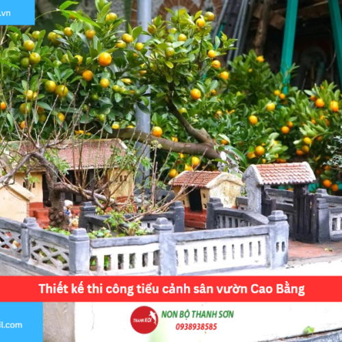 Bảng báo giá thiết kế thi công tiểu cảnh sân vườn Cao Bằng