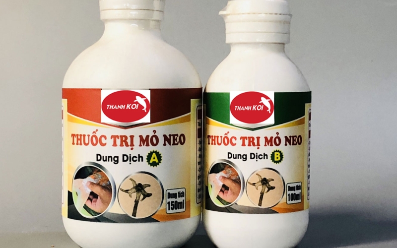Trọn bộ Thuốc Phòng và Trị bệnh cá Koi đặc biệt hiệu quả, chăm sóc toàn diện sức khỏe cho Koi