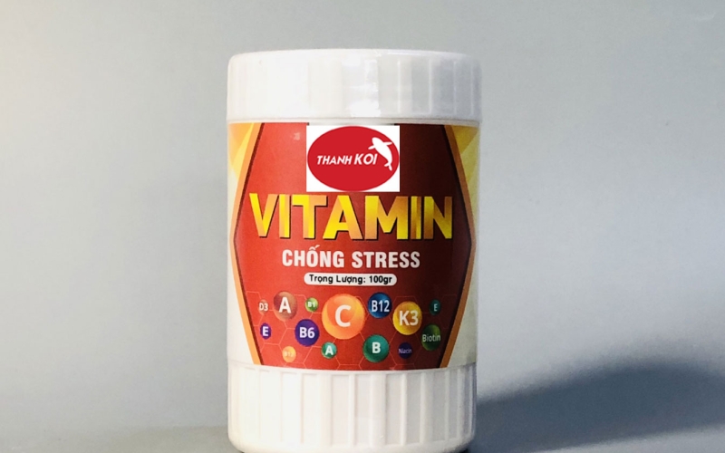 Trọn bộ Thuốc Phòng và Trị bệnh cá Koi đặc biệt hiệu quả, chăm sóc toàn diện sức khỏe cho Koi