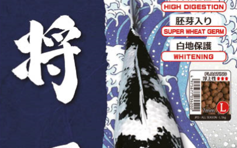 Cám JPD Shogun All Season Bao 10kg – Giải Pháp Dinh Dưỡng Toàn Diện Cho Cá Koi