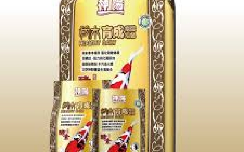 Hikari Healthy Daily Vàng: Giải Pháp Dinh Dưỡng Toàn Diện Cho Cá Koi