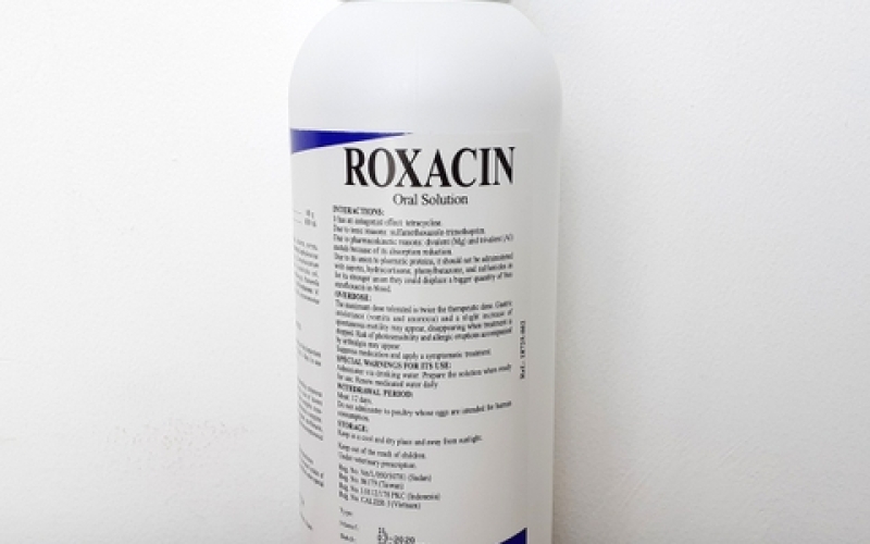 Kháng sinh Roxacin Enrofloxacin chống nhiễm khuẩn - chai 1lit /100ml