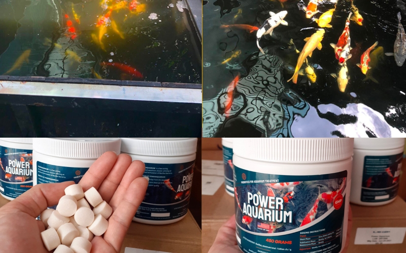 Power Aquarium - Vi sinh xử lý nước chuyên dụng cho hồ cá cảnh, cá Koi - Hộp 1000g