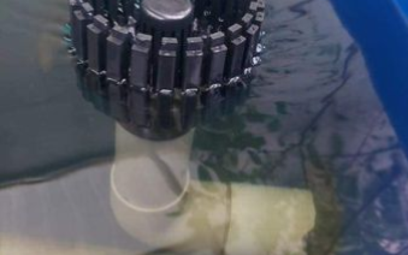 Hút Mặt Lamela Hồ Cá Koi – Ống phi 60 – Hút Mặt Tốt Nhất Hồ Cá Koi