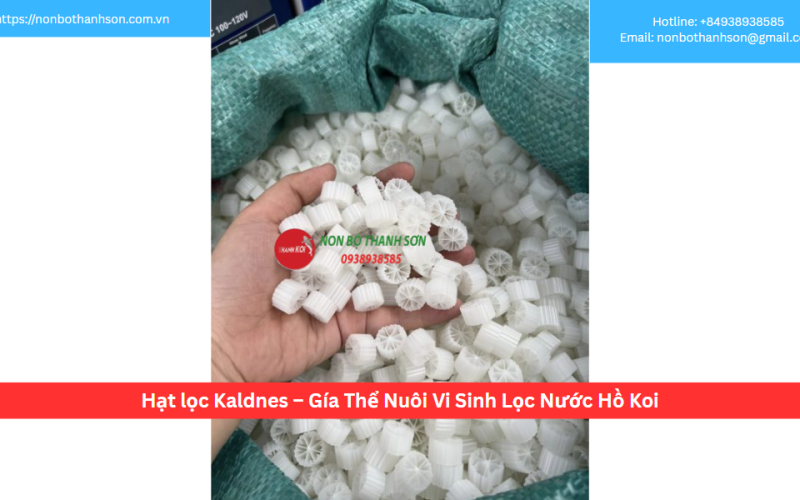 Hạt lọc Kaldnes – Gía Thể Nuôi Vi Sinh Lọc Nước Hồ Koi
