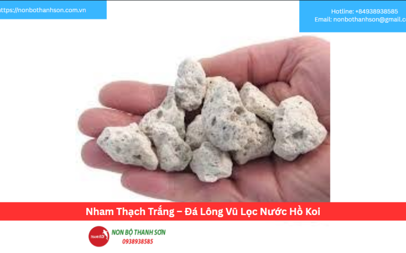 Nham Thạch Trắng – Đá Lông Vũ Lọc Nước Hồ Koi