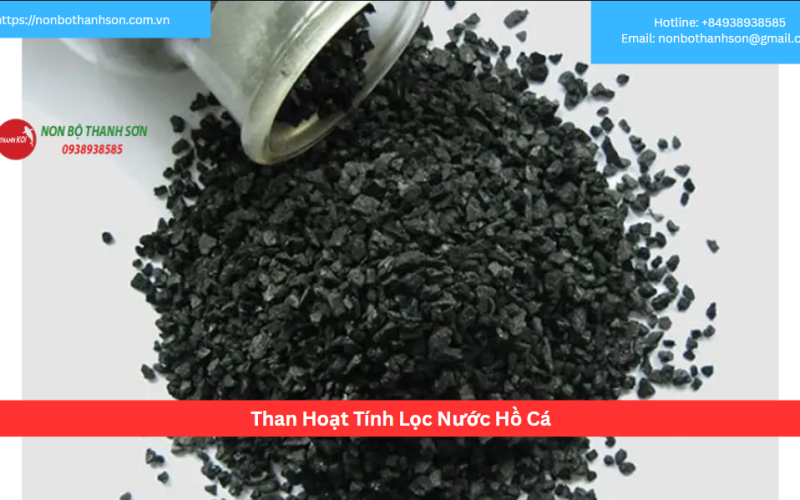 Than Hoạt Tính Lọc Nước Hồ Cá