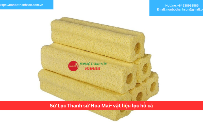 Sứ Lọc Thanh sứ Hoa Mai- vật liệu lọc hồ cá