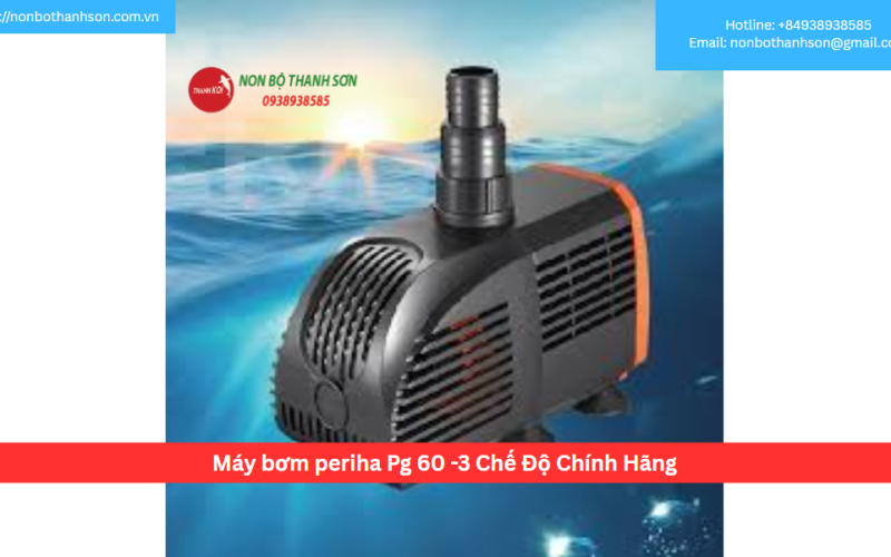 Máy bơm periha Pg 60 -3 Chế Độ Chính Hãng