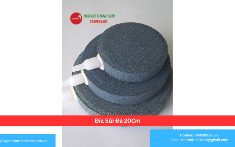 Đĩa Sủi Đá 20Cm