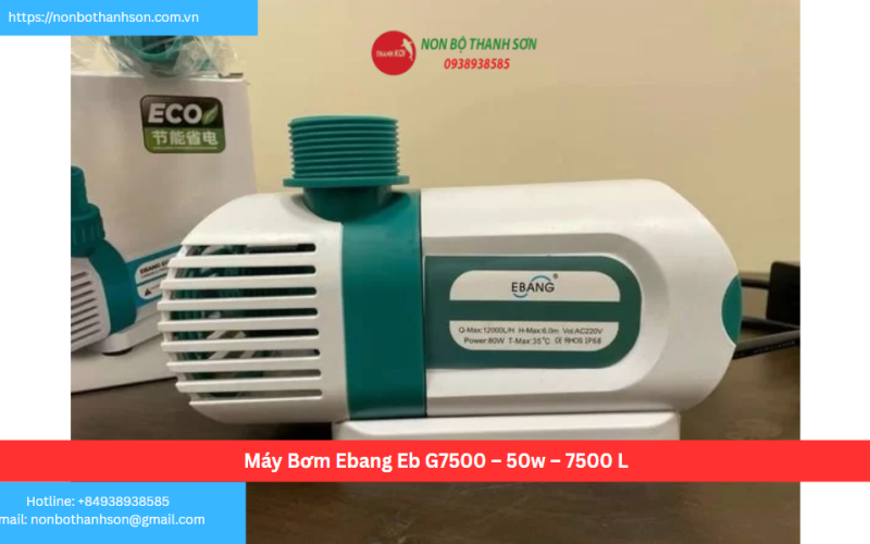 Máy Bơm Ebang Eb G7500 – 50w – 7500 L