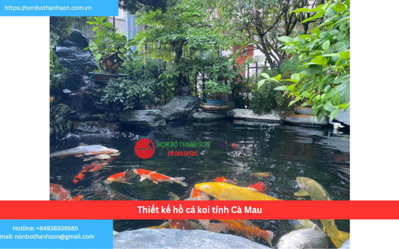 Bảng báo giá thiết kế hồ cá koi tỉnh Cà Mau