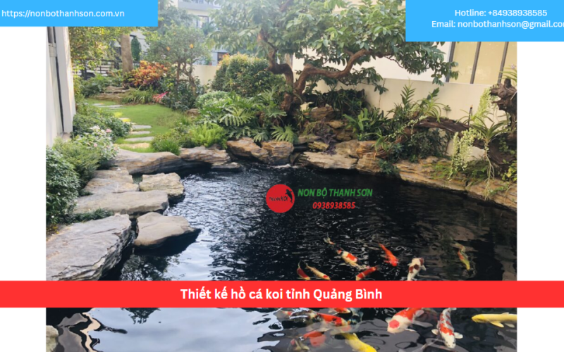 Bảng báo giá thiết kế hồ cá koi tỉnh Quảng Bình
