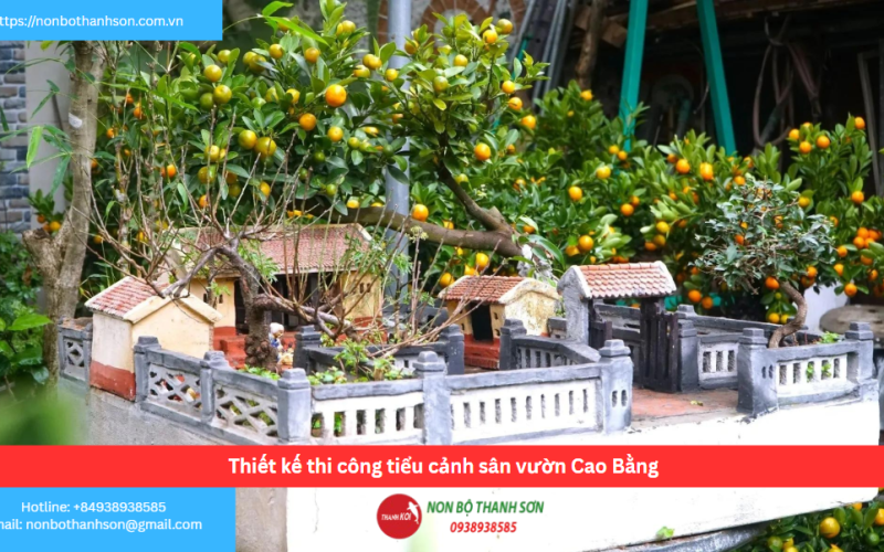 Bảng báo giá thiết kế thi công tiểu cảnh sân vườn Cao Bằng