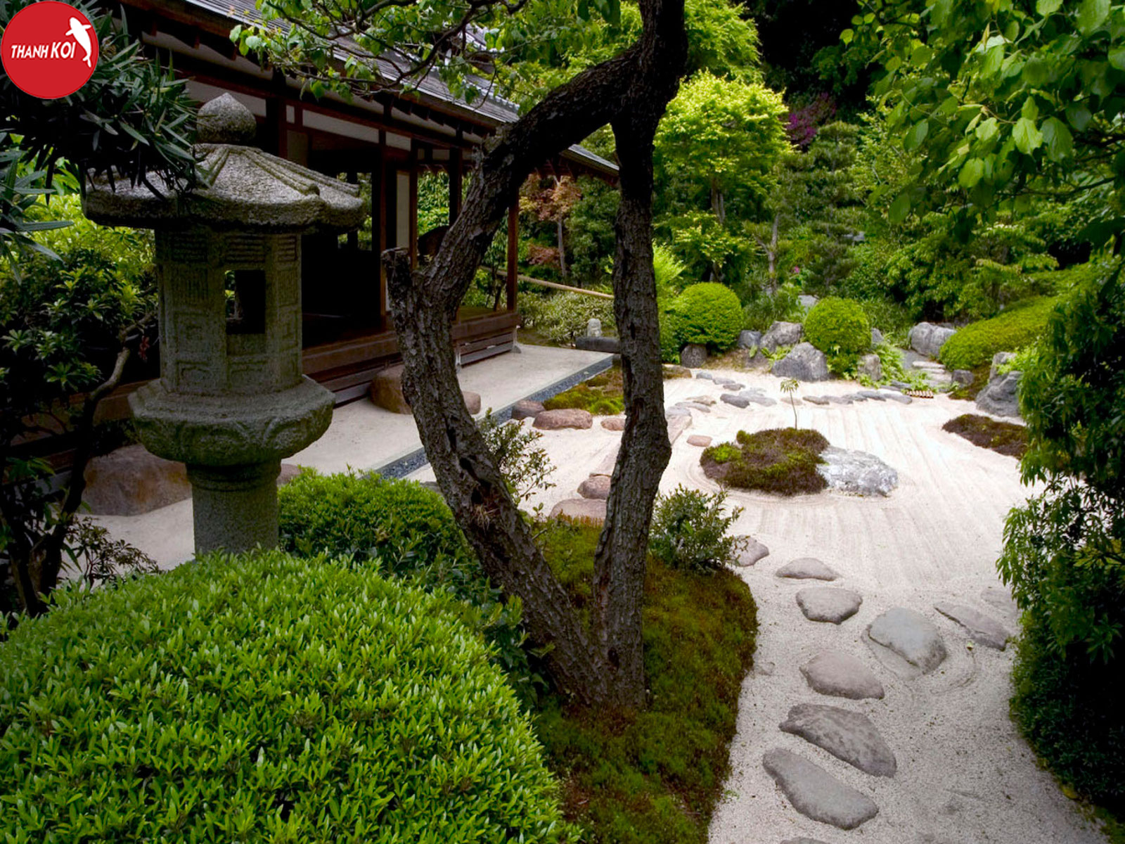 5 lưu ý khi thiết kế sân vườn theo phong cách Nhật